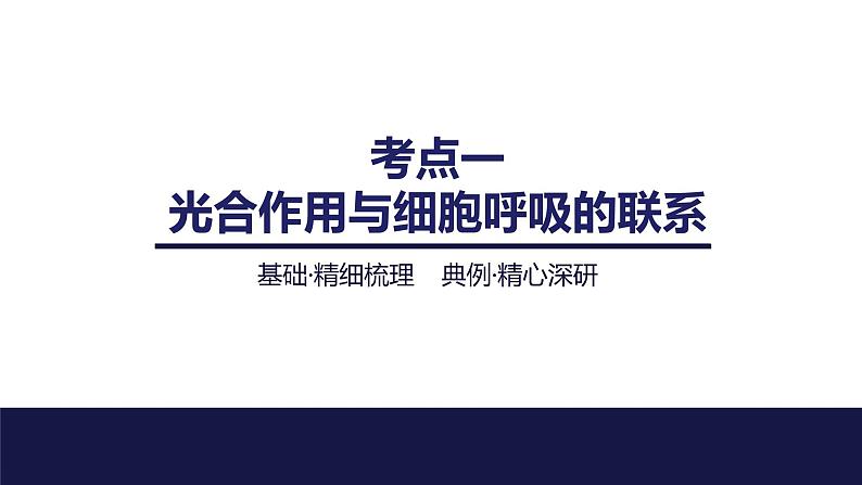 2024届苏教版高中生物一轮复习光合作用与细胞呼吸的综合分析课件03