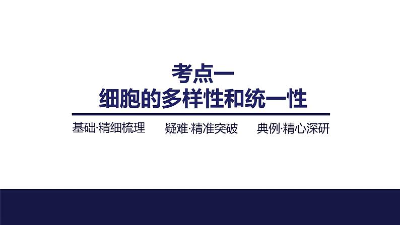 2024届苏教版高中生物一轮复习借助显微镜走近细胞课件第4页