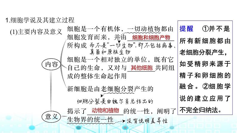 2024届苏教版高中生物一轮复习借助显微镜走近细胞课件第5页