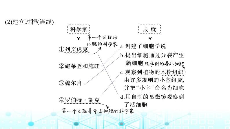 2024届苏教版高中生物一轮复习借助显微镜走近细胞课件第6页