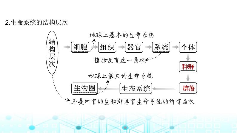 2024届苏教版高中生物一轮复习借助显微镜走近细胞课件第7页