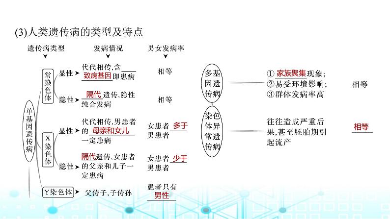 2024届苏教版高中生物一轮复习人类遗传病课件第6页