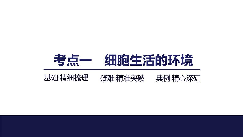 2024届苏教版高中生物一轮复习人体的内环境与稳态课件第4页