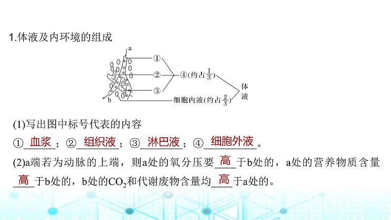 2024届苏教版高中生物一轮复习人体的内环境与稳态课件第5页