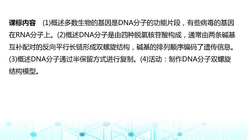 2024届苏教版高中生物一轮复习DNA的结构、复制及基因的本质课件第2页