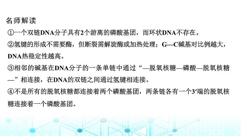 2024届苏教版高中生物一轮复习DNA的结构、复制及基因的本质课件第7页