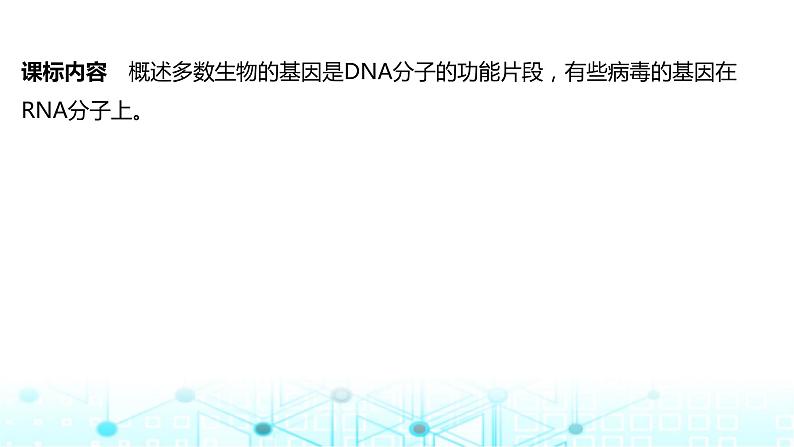 2024届苏教版高中生物一轮复习DNA是主要的遗传物质课件第2页