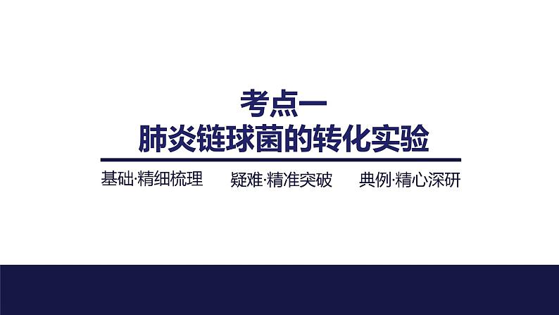 2024届苏教版高中生物一轮复习DNA是主要的遗传物质课件第4页