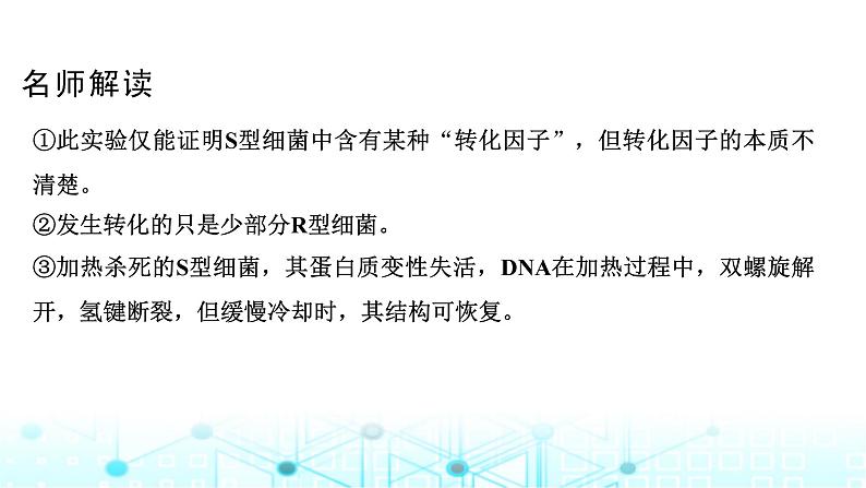 2024届苏教版高中生物一轮复习DNA是主要的遗传物质课件第8页