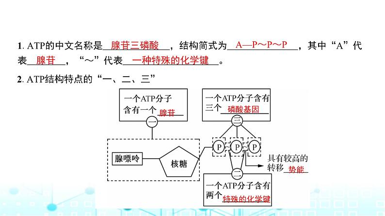 人教版高中生物必修一ATP课件第4页