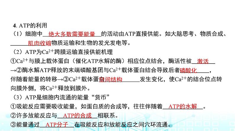 人教版高中生物必修一ATP课件第7页