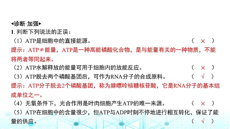 人教版高中生物必修一ATP课件第8页