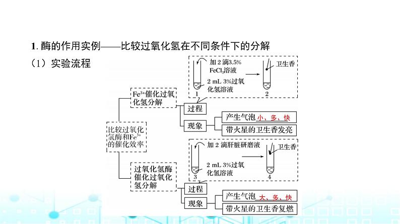 人教版高中生物必修一酶的作用和特性课件第4页