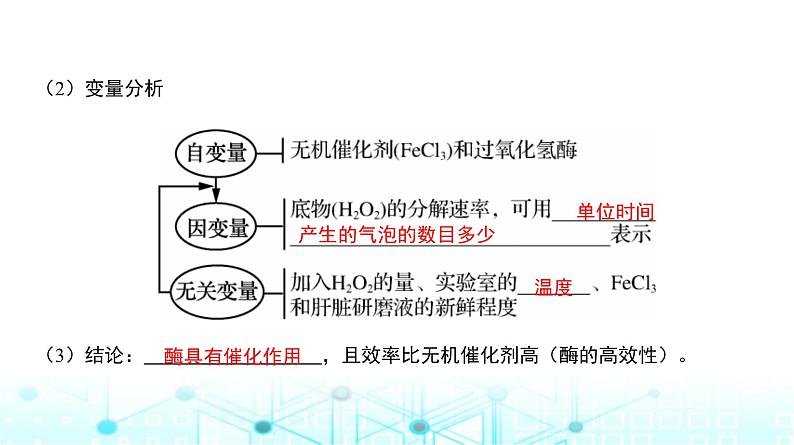 人教版高中生物必修一酶的作用和特性课件第5页