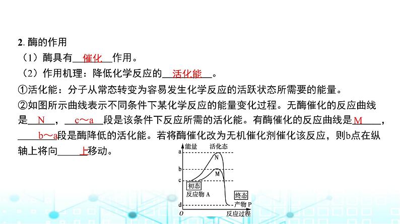 人教版高中生物必修一酶的作用和特性课件第6页