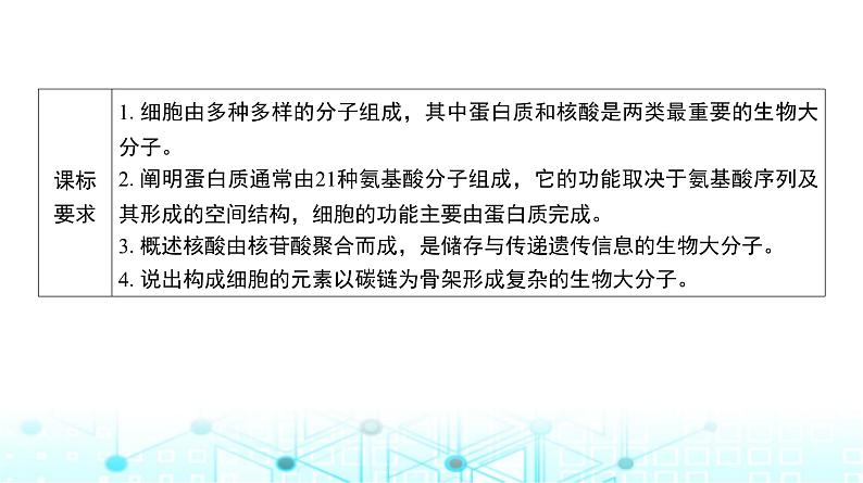 人教版高中生物必修一蛋白质与核酸课件第2页