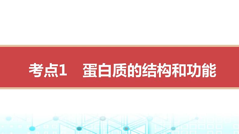 人教版高中生物必修一蛋白质与核酸课件第3页