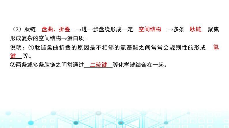 人教版高中生物必修一蛋白质与核酸课件第7页