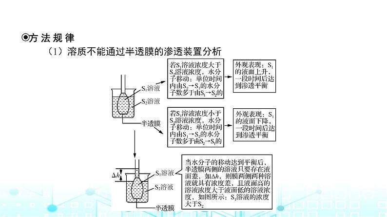 人教版高中生物必修一细胞的物质输入和输出课件第8页