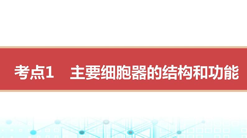 人教版高中生物必修一细胞器与生物膜系统课件03