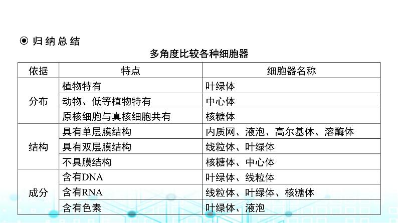 人教版高中生物必修一细胞器与生物膜系统课件06