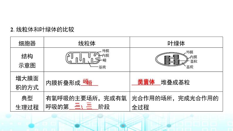 人教版高中生物必修一细胞器与生物膜系统课件08