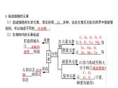 人教版高中生物必修一细胞中无机物、糖类和脂质课件