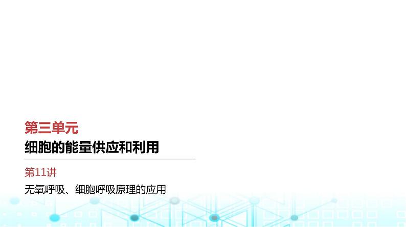 人教版高中生物必修一无氧呼吸、细胞呼吸原理的应用课件01