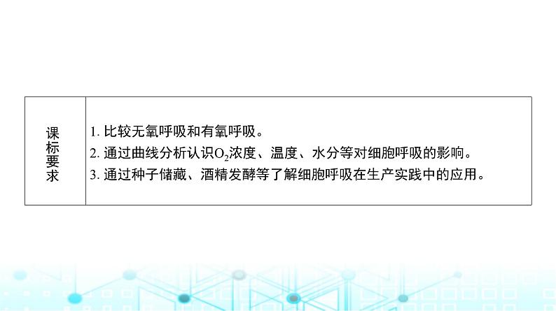 人教版高中生物必修一无氧呼吸、细胞呼吸原理的应用课件02