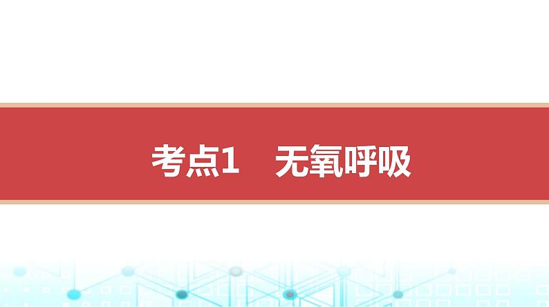 人教版高中生物必修一无氧呼吸、细胞呼吸原理的应用课件03