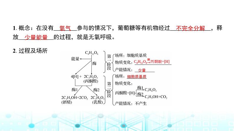 人教版高中生物必修一无氧呼吸、细胞呼吸原理的应用课件04