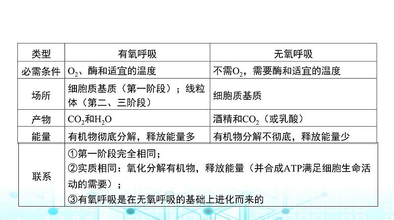 人教版高中生物必修一无氧呼吸、细胞呼吸原理的应用课件08