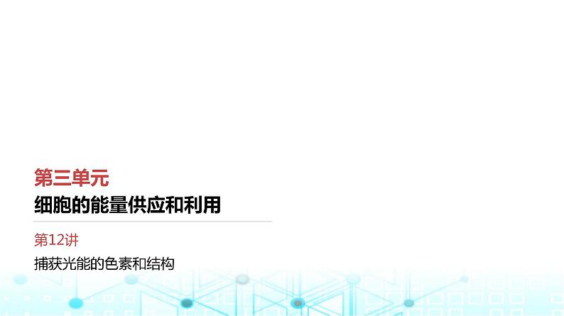 人教版高中生物必修一捕获光能的色素和结构课件第1页