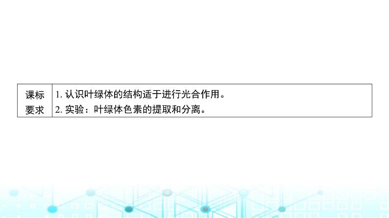 人教版高中生物必修一捕获光能的色素和结构课件第2页