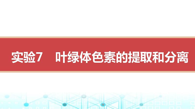 人教版高中生物必修一捕获光能的色素和结构课件第3页