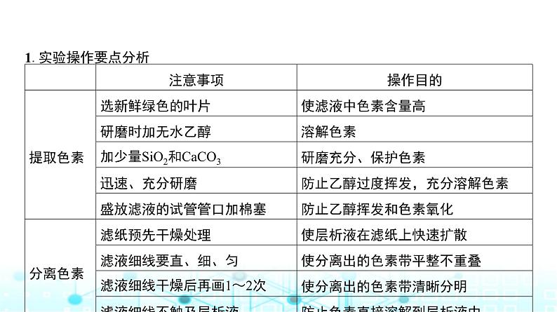 人教版高中生物必修一捕获光能的色素和结构课件第6页