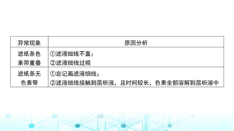 人教版高中生物必修一捕获光能的色素和结构课件第8页