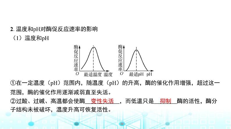 人教版高中生物必修一影响酶活性的因素课件第5页