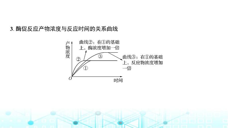 人教版高中生物必修一影响酶活性的因素课件第6页