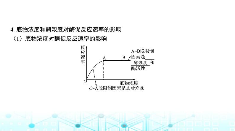 人教版高中生物必修一影响酶活性的因素课件第7页