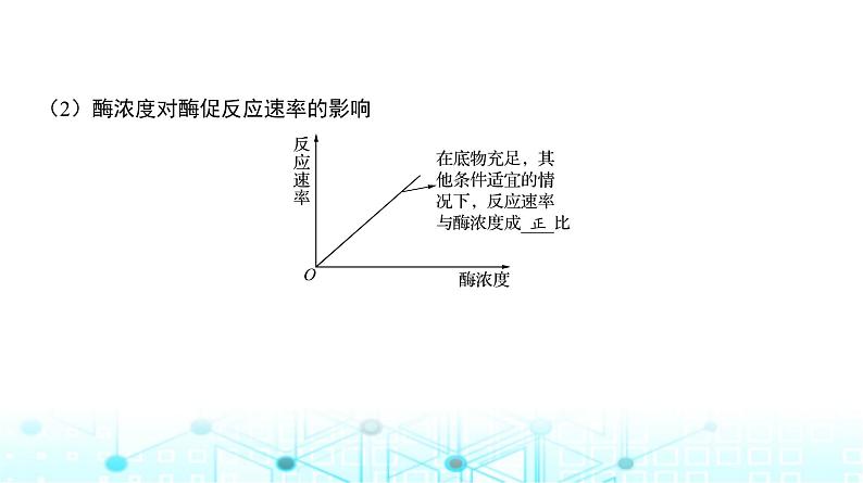 人教版高中生物必修一影响酶活性的因素课件第8页