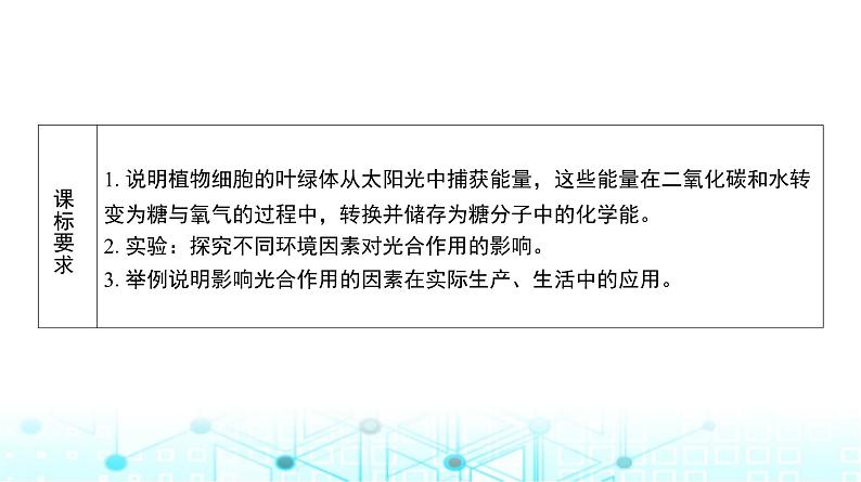 人教版高中生物必修一光合作用的原理及影响因素课件第2页