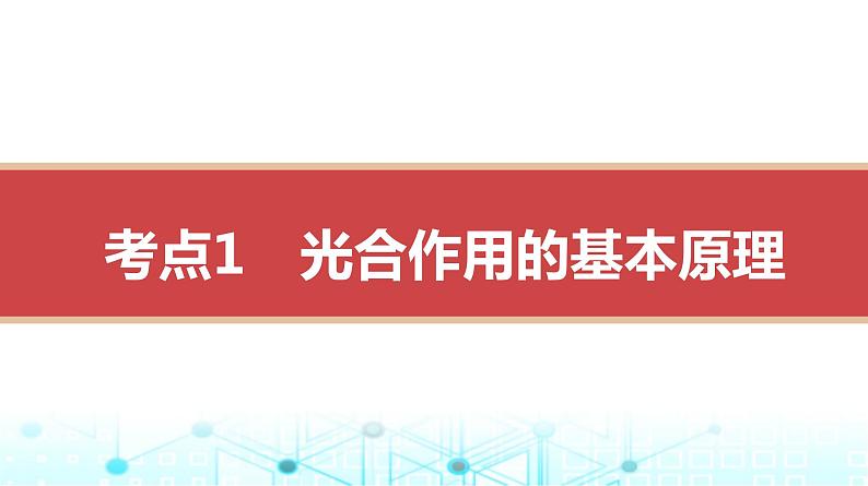 人教版高中生物必修一光合作用的原理及影响因素课件第3页