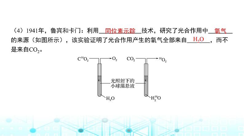 人教版高中生物必修一光合作用的原理及影响因素课件第5页