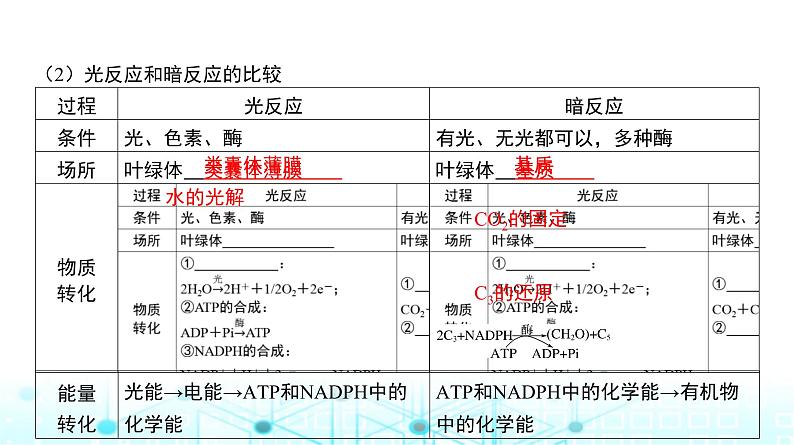 人教版高中生物必修一光合作用的原理及影响因素课件第8页