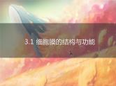 3.1.1 细胞膜的结构与功能课件PPT