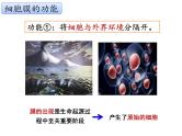 3.1.1 细胞膜的结构与功能课件PPT
