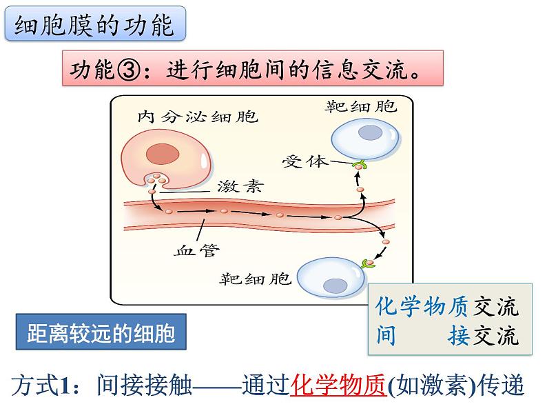 3.1.1 细胞膜的结构与功能课件PPT第6页