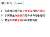3.2.2细胞器之间的分工合作课件PPT