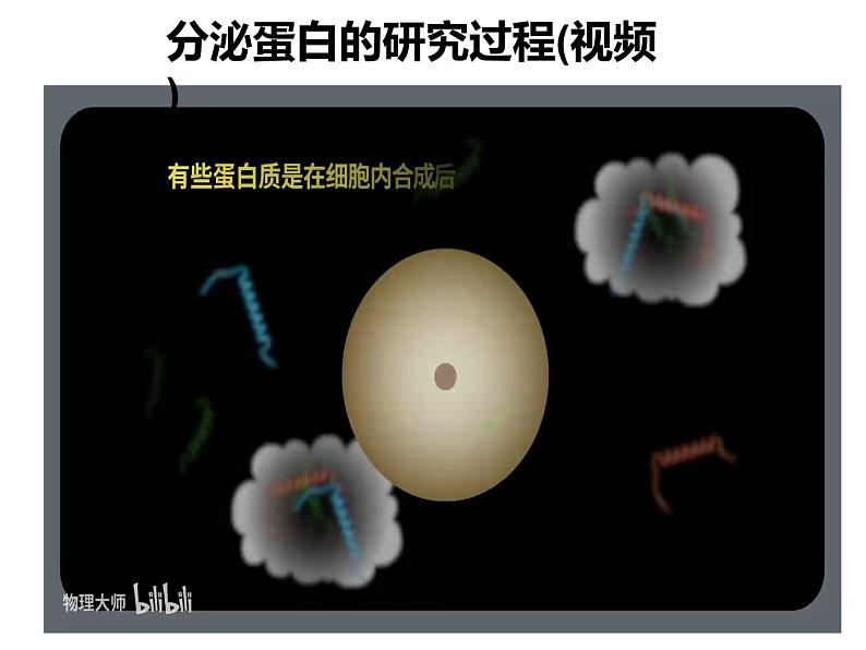 3.2.2细胞器之间的分工合作课件PPT第5页